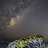 Rob_Sykes Rob_Sykes
